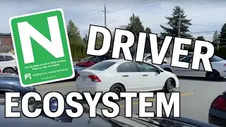 Duke of Earl 2023 - The N Driver Ecosystem