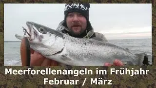 Meerforellenangeln, angeln auf Meerforelle im Frühjahr -  Februar-März
