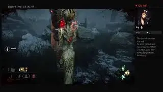 Dbd bois
