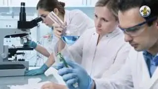 Секрет коллективного разума