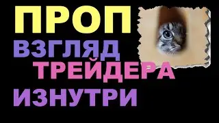 Проп глазами трейдера. Взгляд изнутри