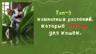 Топ 5 комнатных растений, которые опасны для кошек