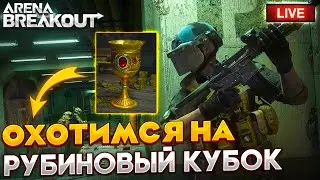 В ПОИСКЕ РУБИНОВЫХ КУБКОВ | СТРИМ ARENA BREAKOUT / TARKOV MOBILE