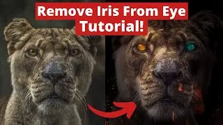 How to REMOVE IRIS From Eye - Photoshop Tutorial
