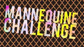 Mannequine challenge
