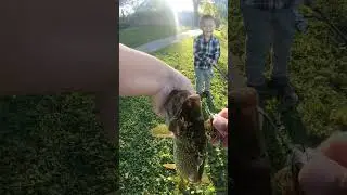 Little Man Landing A Giant Northern Pike