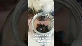 Сливовый компот 😋