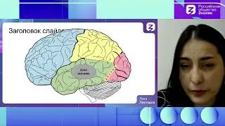 Не могу или не хочу: Современный ребенок с точки зрения нейрофизиолога