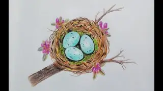 How To Draw Bird Nest | Bird Nest Drawing Step By Step Very Easy