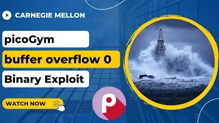 picoGym (picoCTF) Exercise: buffer overflow 0