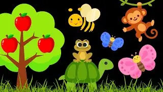 Baby Sensory Video - Tummy Time - Sensory Videos for Babies - Visual Stimulation for Newborn #baby