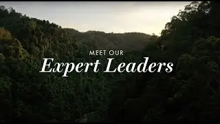 Meet Our Expert Leaders
