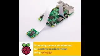 Accessing Raspberry camera module via ethernet with rpiasgige