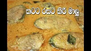 මාලු කිරට උයන හැටි - Coconut milk fish curry recipe