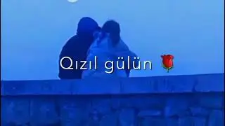 ❤🤤whatsapp status ucun tik tok videosu/ sounds app