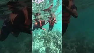 Deep Sea Snorkelling-3 - Without Rope