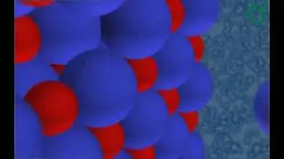 Como a água dissolve o sal