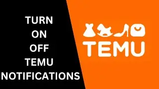 How To Turn On Off Push Notifications On Temu