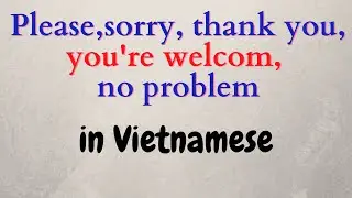Learn Vietnamese. Please , sorry, thank you, you are welcome and  No problem in Vietnamese