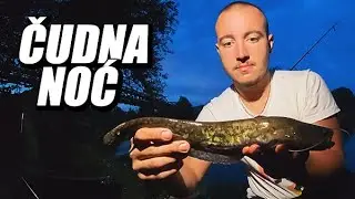 Veliki SOM uplašio sve ribe - Pecanje na dubinku - rijeka Bosna