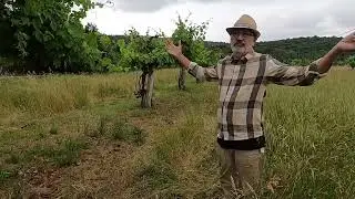 Arnaldo Rossi Explains Vite Maritata