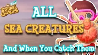 EVERY Sea Creature And When You Can Catch Them (Both Hemispheres!) | Animal Crossing: New Horizons