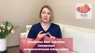 Как часто клиника отправляет отчёт пациентам о развитии эмбрионов?