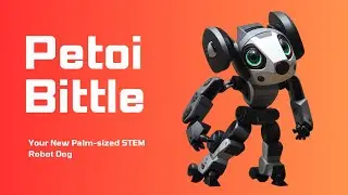 Meet Petoi Bittle | Your New Palm sized STEM Robot Dog 🤖🐶