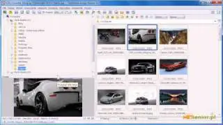 FastStone - Wprowadzenie, omówienie programu.