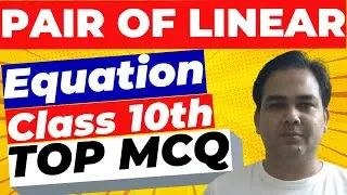 Pair of Linear Equations in Two Variables Class 10 MCQ - TERM 1 - Full Concept