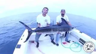 200lb Striped Marlin - Once In A Lifetime Catch