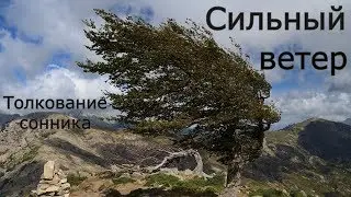 Сильный ветер - толкование сонника