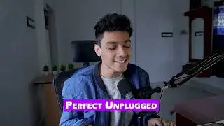 Perfect Unplugged