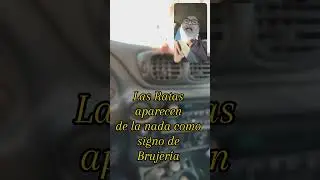 Padeces brujería???