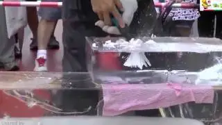 PEOPLE ARE AWESOME FAST WORKERS COMPILATION 2016 #8