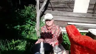 Чистим диван, кресло или стул 🌻