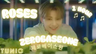 ZEROBASEONE (제로베이스원) - ROSES 💚 1 HOUR EDIT 💚 LONG LOOP VERSION