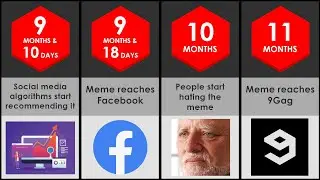 How Long Could A Meme Survive?