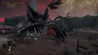 Elden Ring - Caelid Cute Ravens 🐦