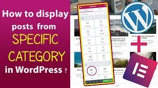 How to display posts of specific 
