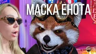 Как поставить маску говорящего животного из facerig? | Настя Flash