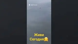 Жизнь одна🤏