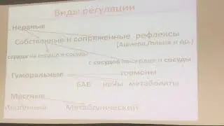 Регуляция кровообращения 1. Физиология.