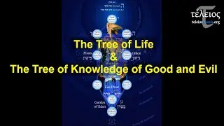 The Tree of Life & The Tree of Knowledge of Good and Evil