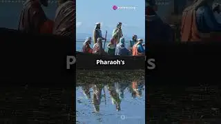 The Pharaoh's Story in Islam. #islamictraditions #pharaoh #prophetmusa #redsea #islamichistory