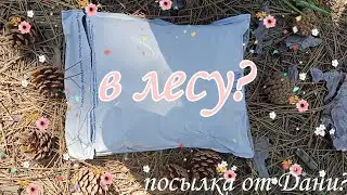 🌷🪐ВИДЕО В ЛЕСУ?! ☁️🌠распаковка посылки от @dada15 😙💓