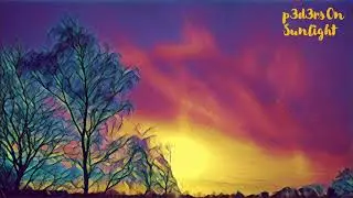 p3d3rs0n - Sunlight