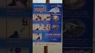 КАКИМИ ДОЛЖНЫ БЫТЬ ОТНОШЕНИЯ ЧЕЛОВЕКА С ПРИРОДОЙ