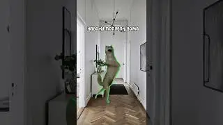 Моя пятница 
