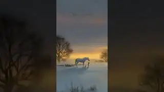 A Tempestade vai passar e Deus tem coisas novas para sua vida.